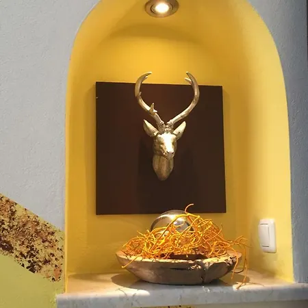 Апартаменты Haus Schnepfleitner Дорфгаштайн